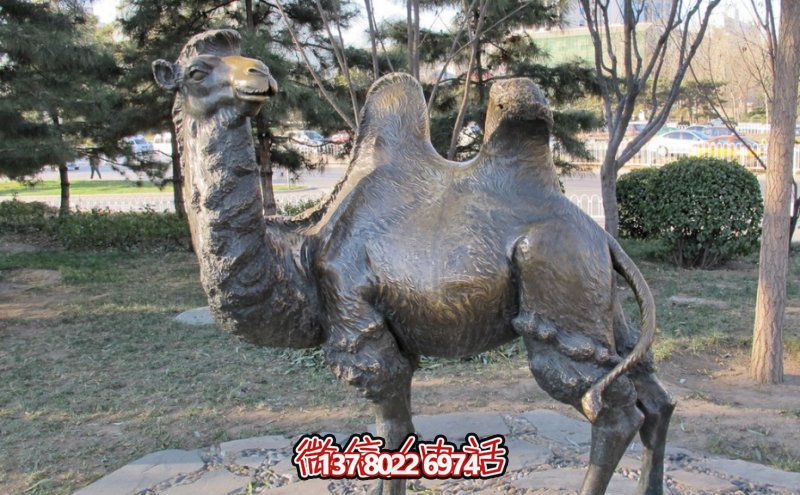 創(chuàng)意大型玻璃鋼駱駝雕塑，在草地上擺放，一眼回頭